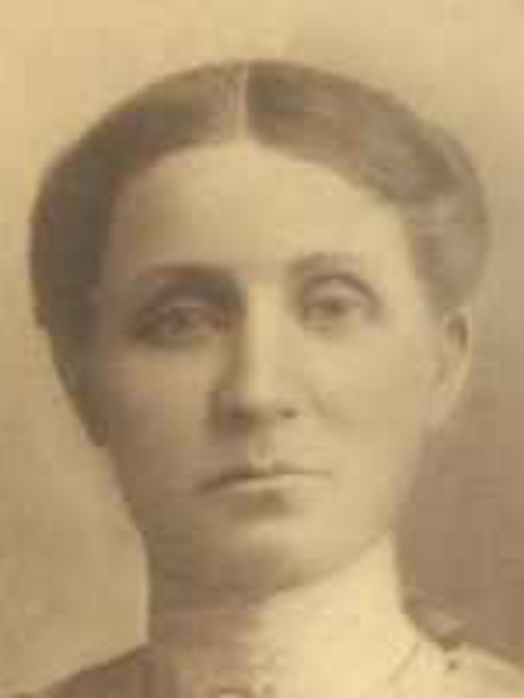 Mary Ann Hardy (1846 - 1937) Profile